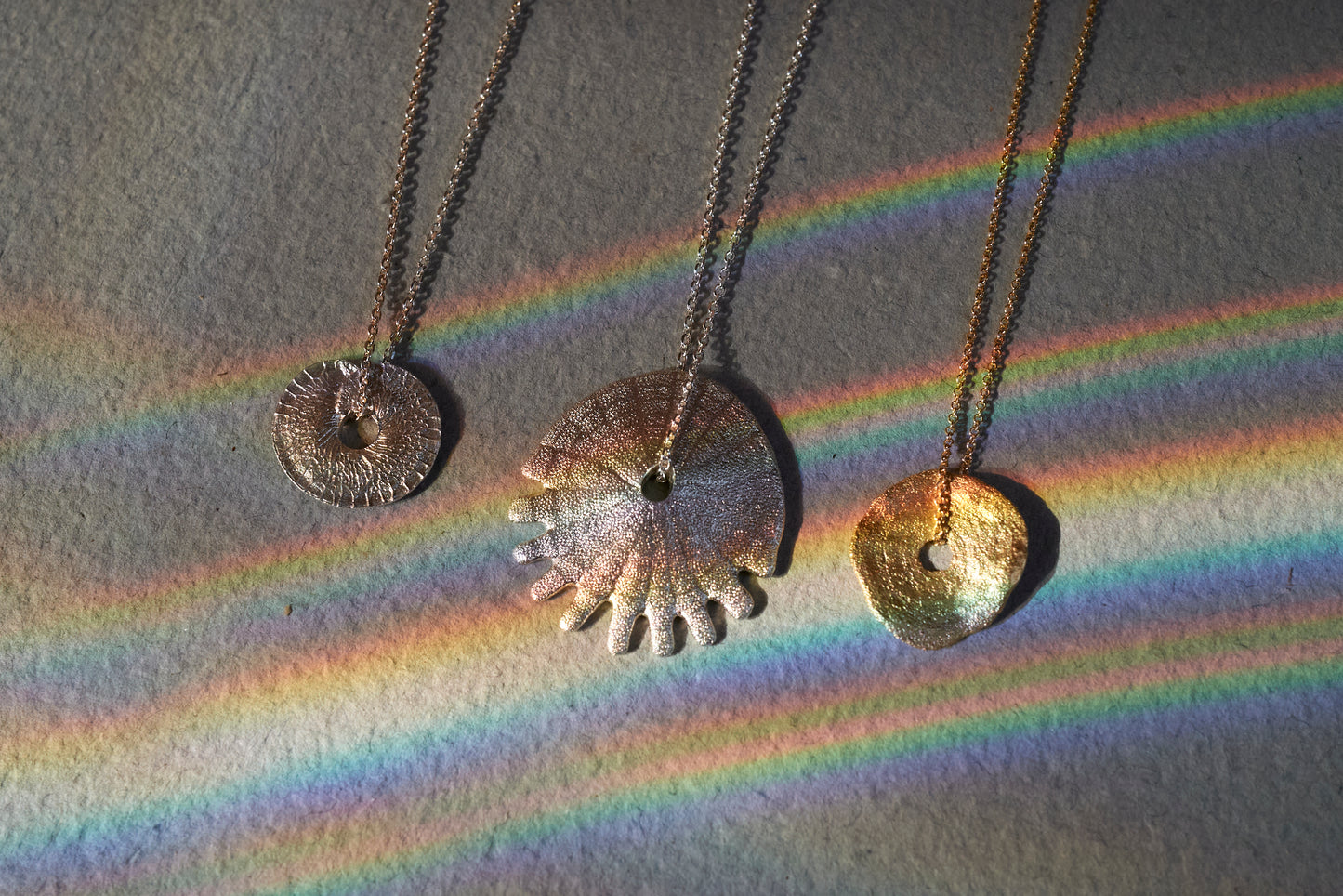 Sand Dollar Necklace