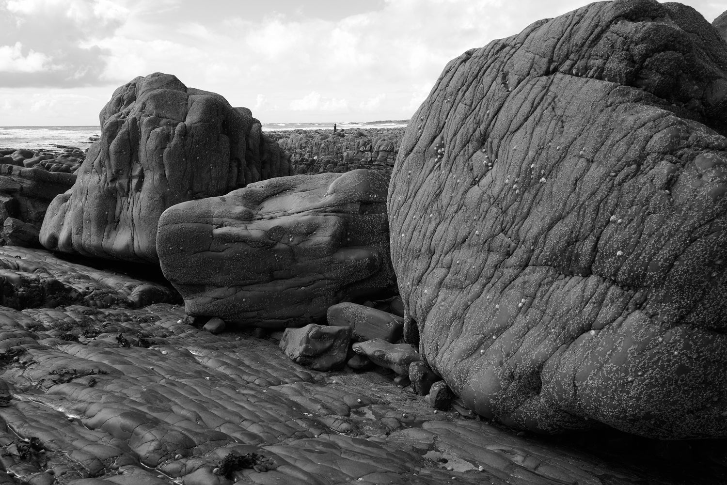 sustainable contemporary nature jewellery south west 