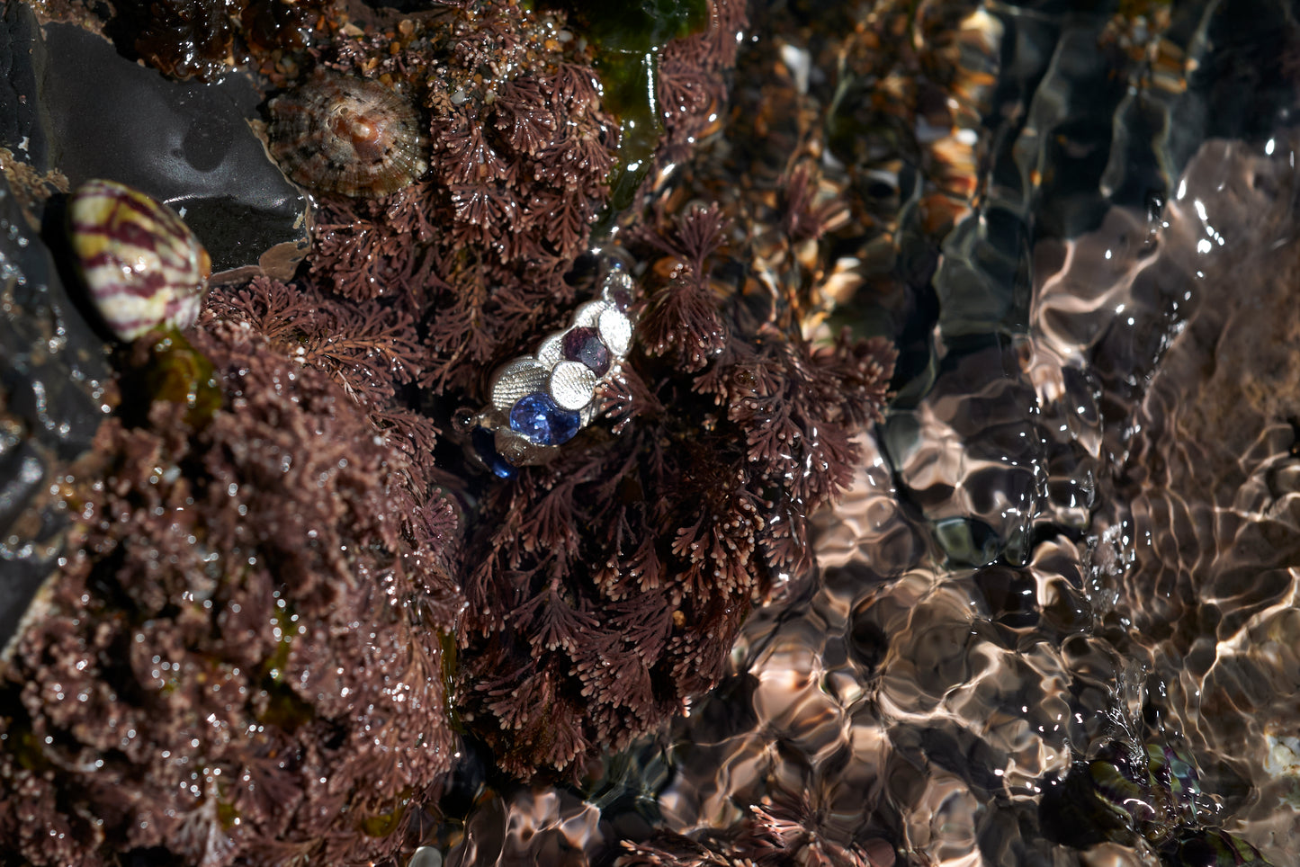Sculptural silver Shellscape ring resting in shallow rock pool water with ocean inspired gemstones and reflections of coastal light