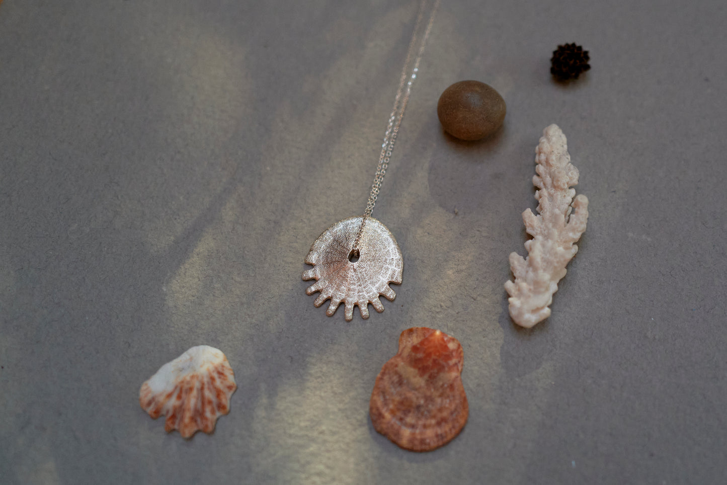 Sand Dollar Necklace